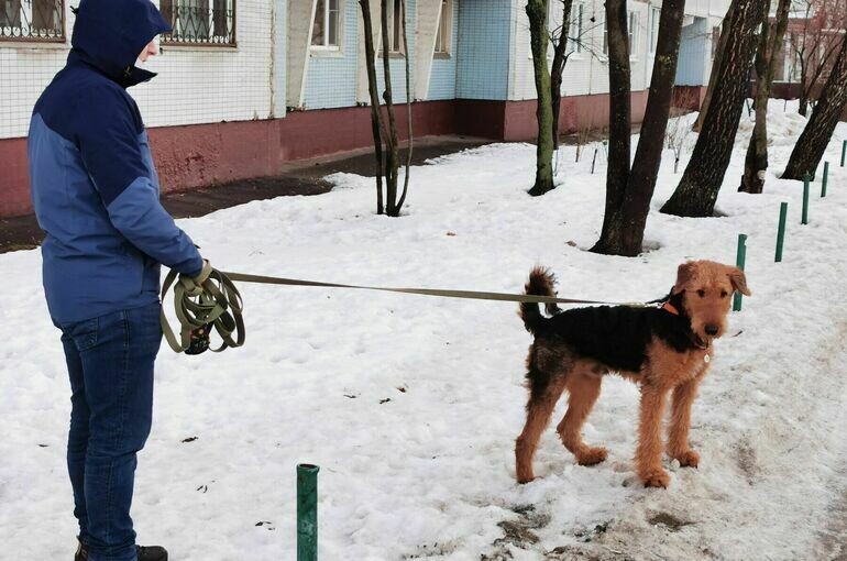   Игорь Самохвалов/«Парламентская газета»