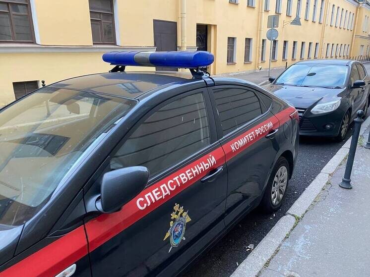     Количество убийств снизилось благодаря общей работе всех правоохранительных органов. Фото: архив МК в Питере