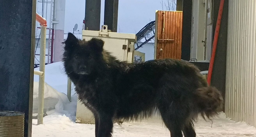    Фото из архива редакции