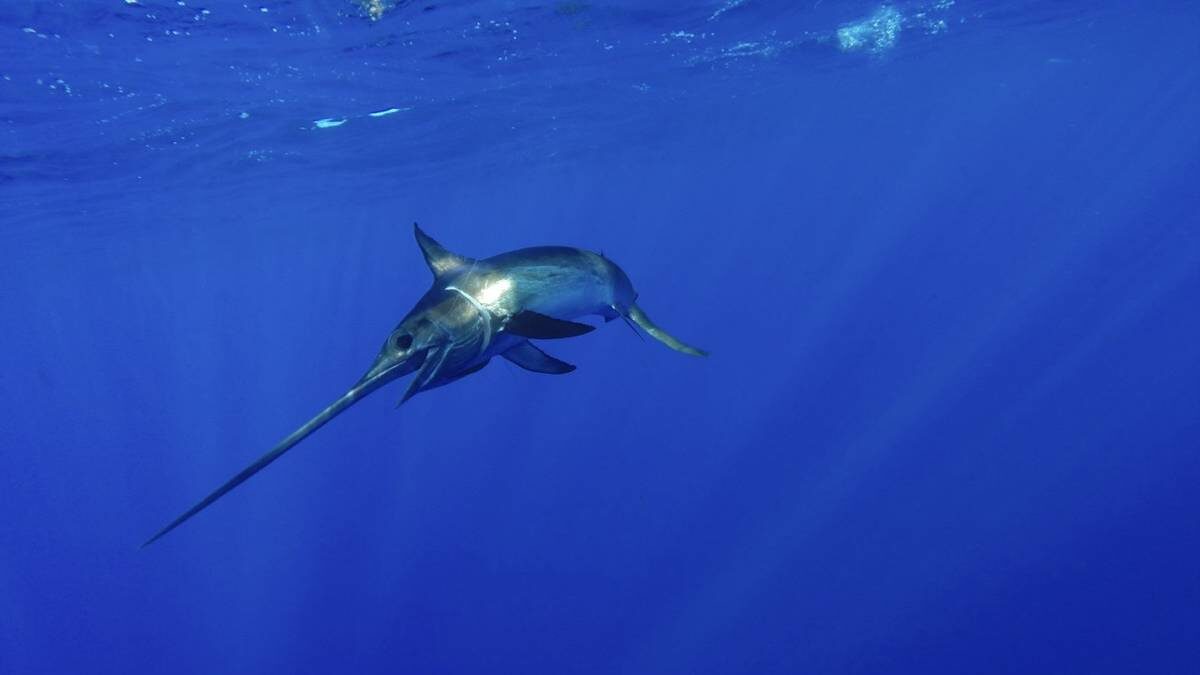    Фото: Shutterstock