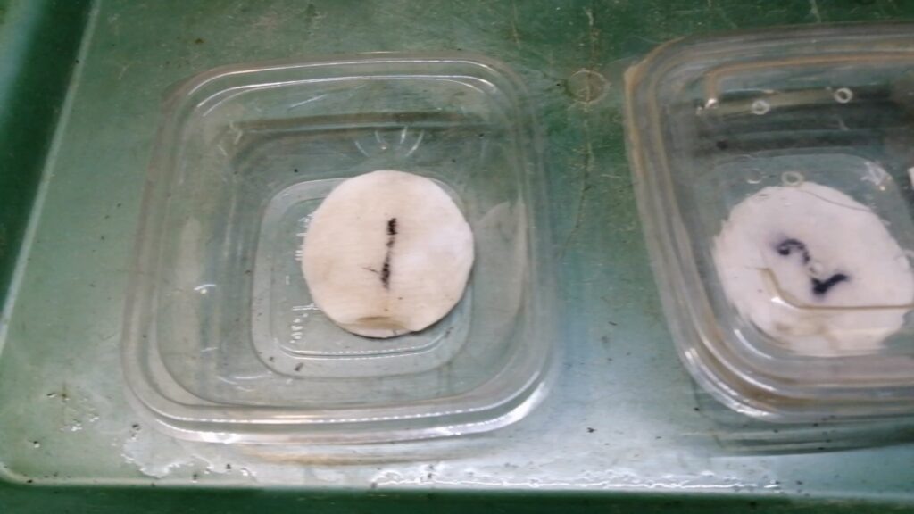 Емкости для проращивания семян.