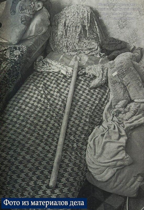     © фото - Объединенная пресс-служба судебной системы Курской области