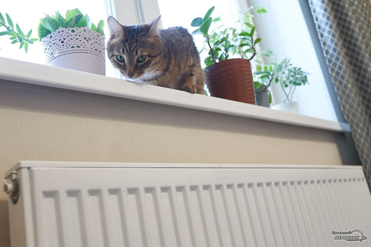    Фото: Лидия Аникина © ИА «Уральский меридиан»