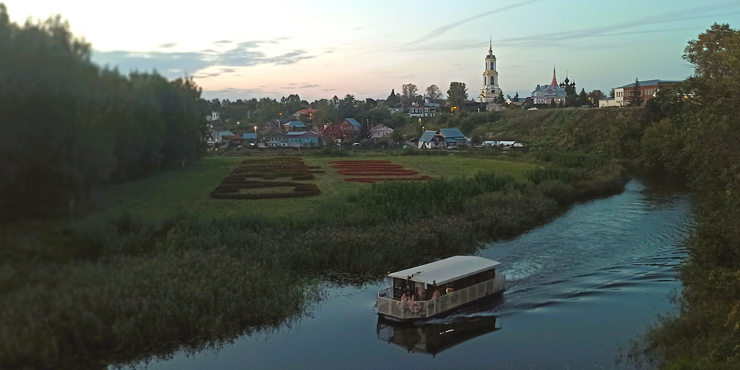 Из жизни#202602