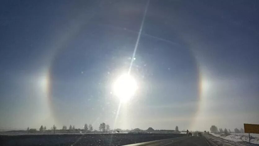 Фото: соцсети