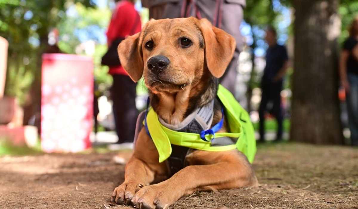    Фото: Агентство городских новостей "Москва"