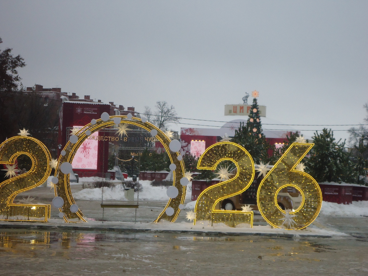 Рязань Рождественская - 2026 г. На заднем плане - здание цирка. Из архива автора.
