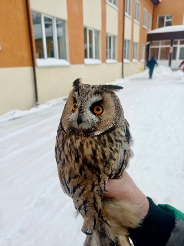    Фото: СмолГУ