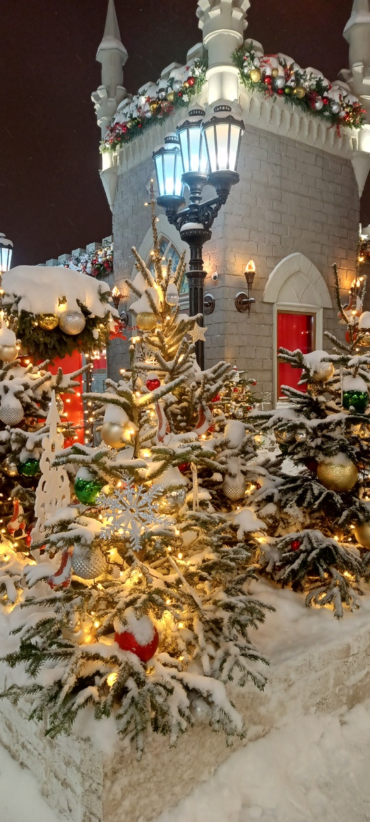 Фото сделано автором канала 