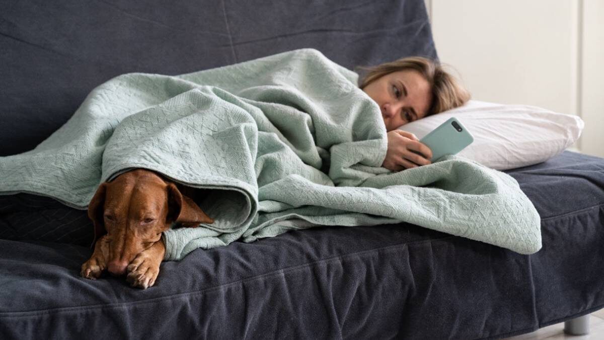    Фото: Shutterstock