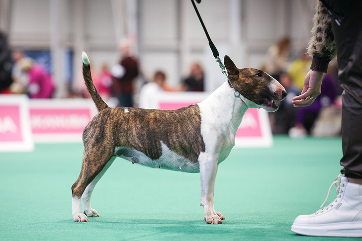    SubertT/Shutterstock/FOTODOM