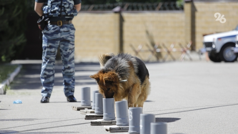      Фото: ИА «Победа26»