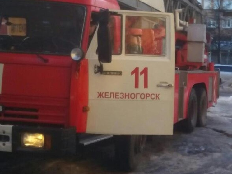     Фото: ГУ МЧС по Курской области