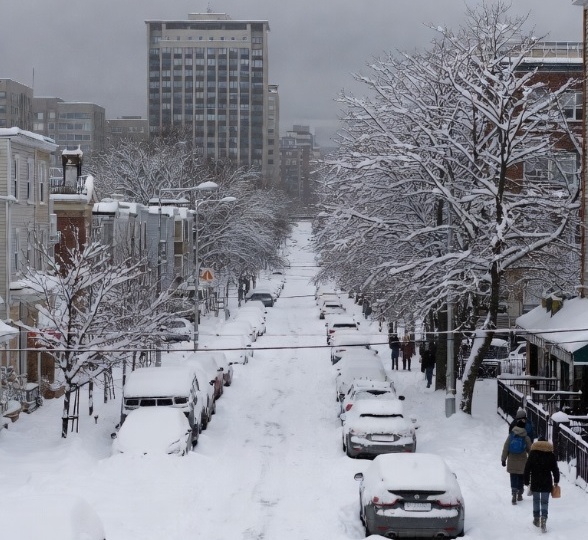 Что делать, если в вашем городе или деревне не чистят дороги от снега + про Добродел