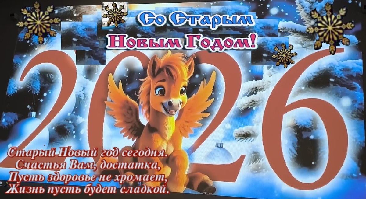 фото из личного архива