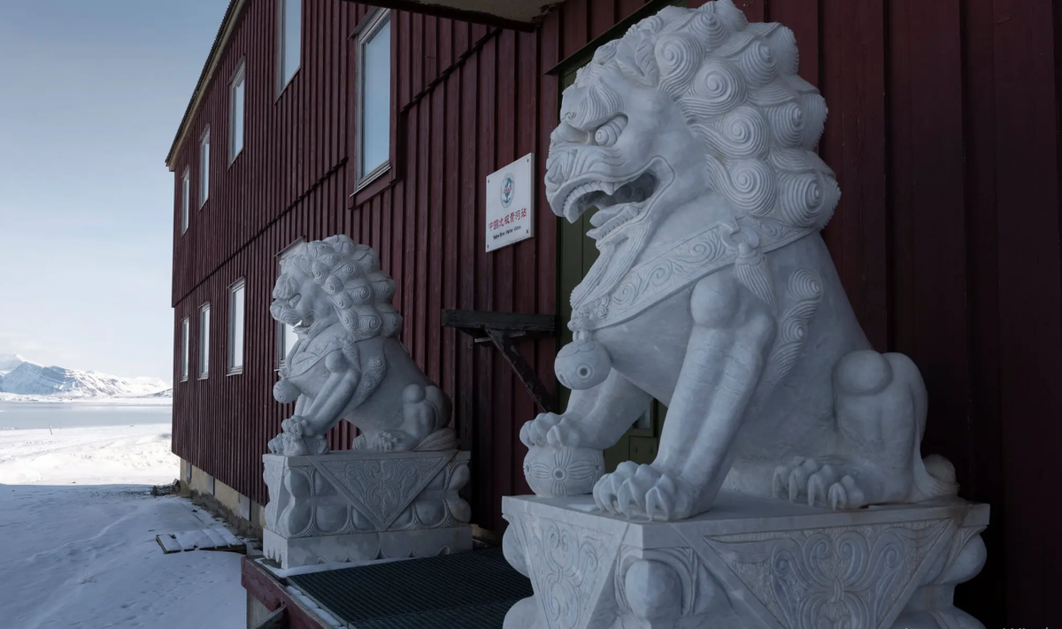 Вот эти львы. Из открытых источников. 