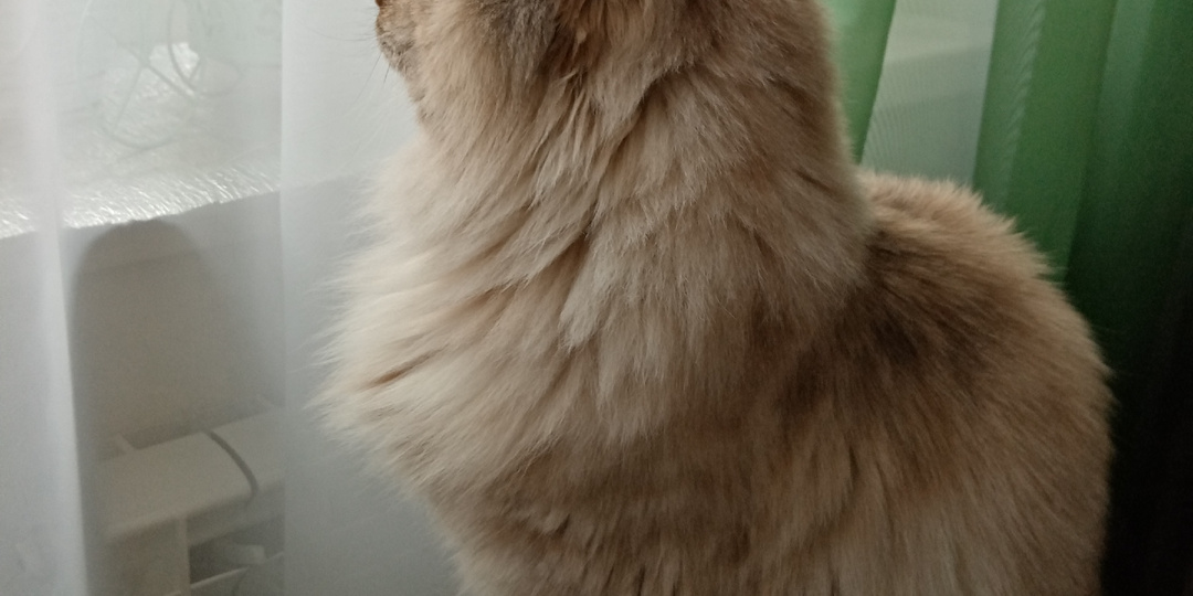 Холодный январь в Сибири