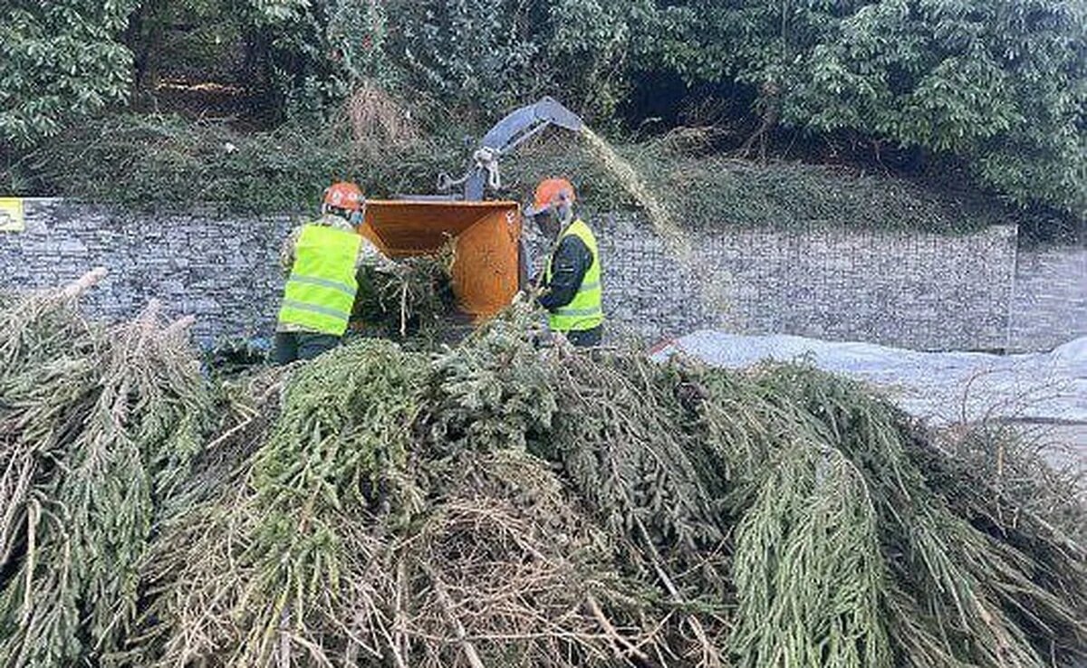    Фото t.me/officialsochi