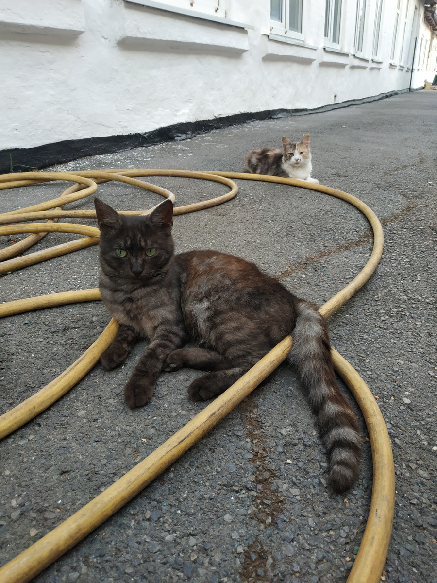 Листайте фото