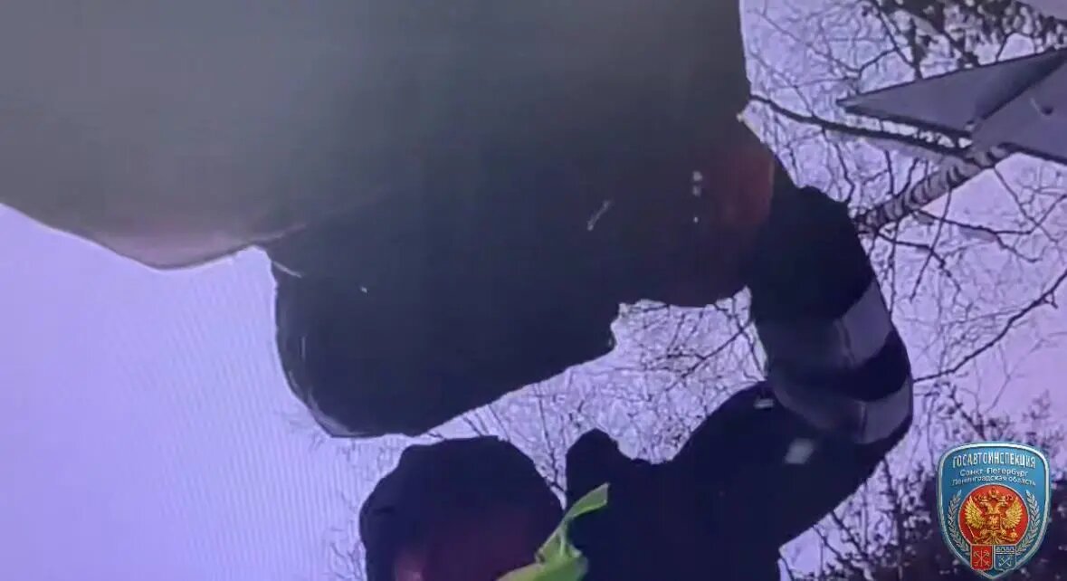   Фото: скриншот видео пресс-службы ГАИ по Ленобласти