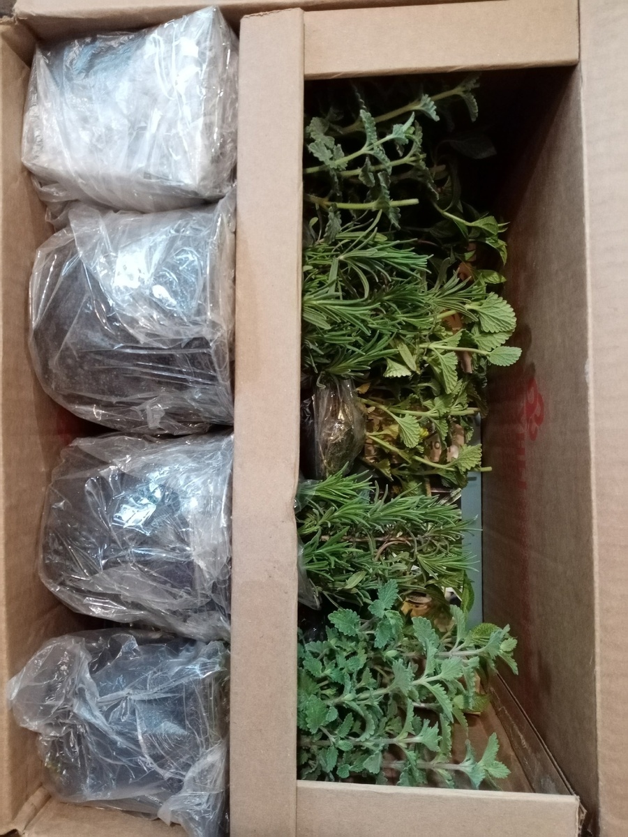 Один из вариантов упаковки. Придумка супруга.