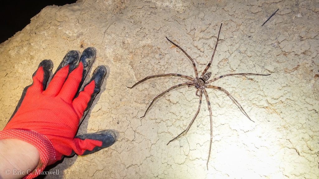 И вот после такого люди всё равно продолжают ходить в пещеры...