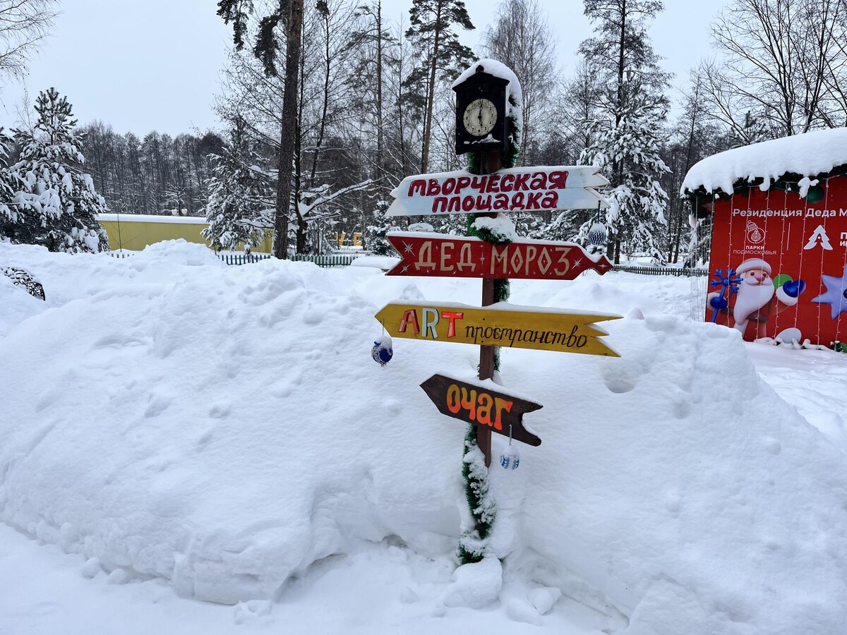    Фото: МедиаБанк Подмосковья/Ангелина Стельмух