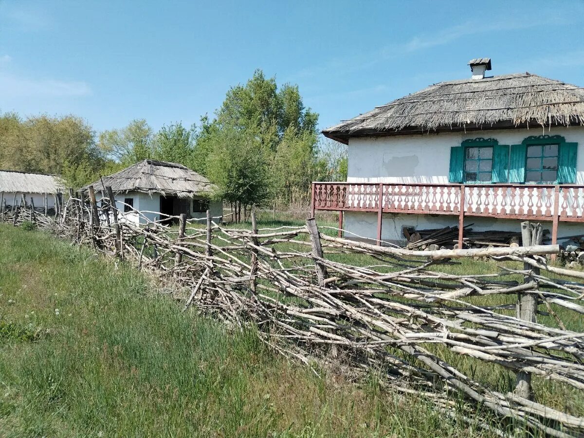 Взято из открытых источников интернета Яндекс.