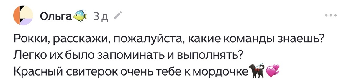 Вот такой комментарий я получил под одной из недавних публикаций. Кстати, спасибо приятные слова 🥰