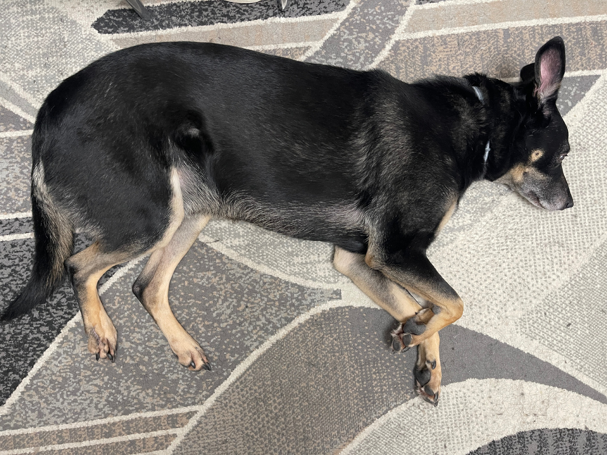 Вот так она выглядит 😁