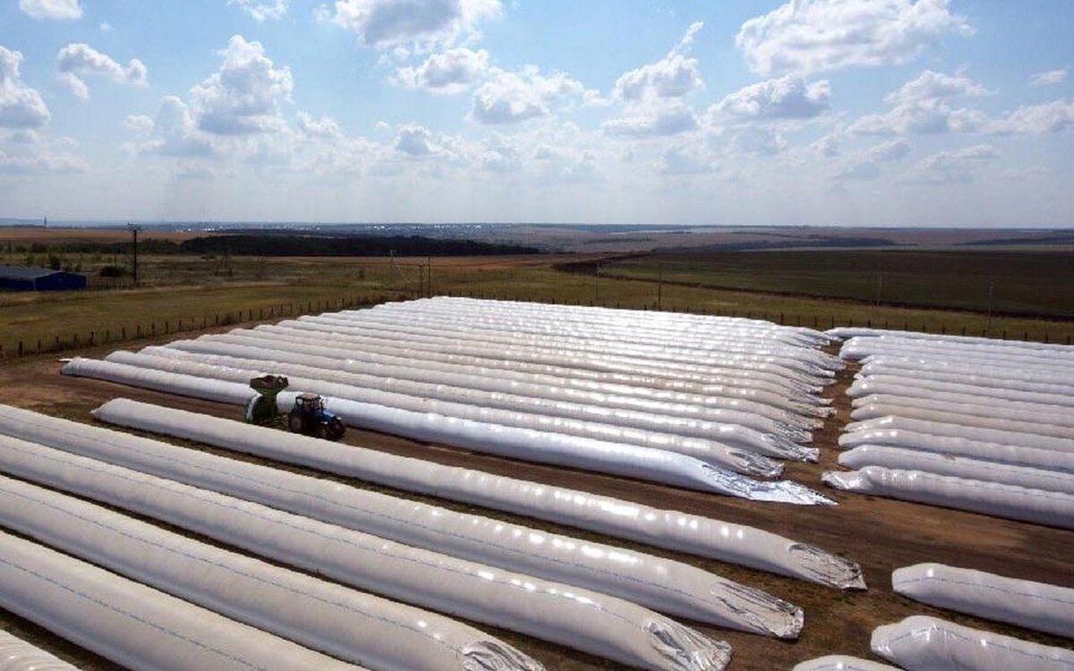    В Липецкой области за 169 млн рублей продают несостоявшийся в ОЭЗ инвестпроект по выпуску пластиковых рукавов Фото – «Лилиани»