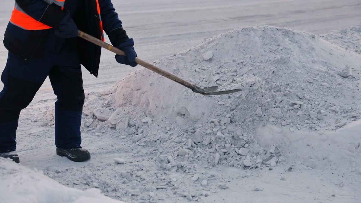    Фото: Андрей Ткачев / «Ямал-Медиа»