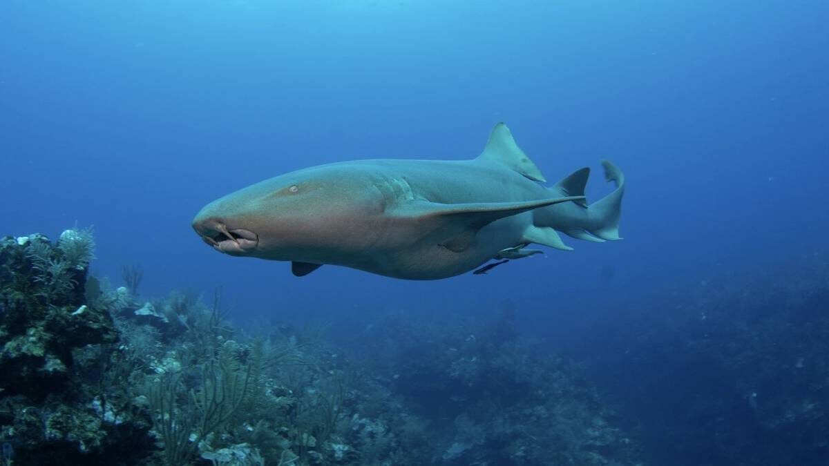    Фото: Shutterstock