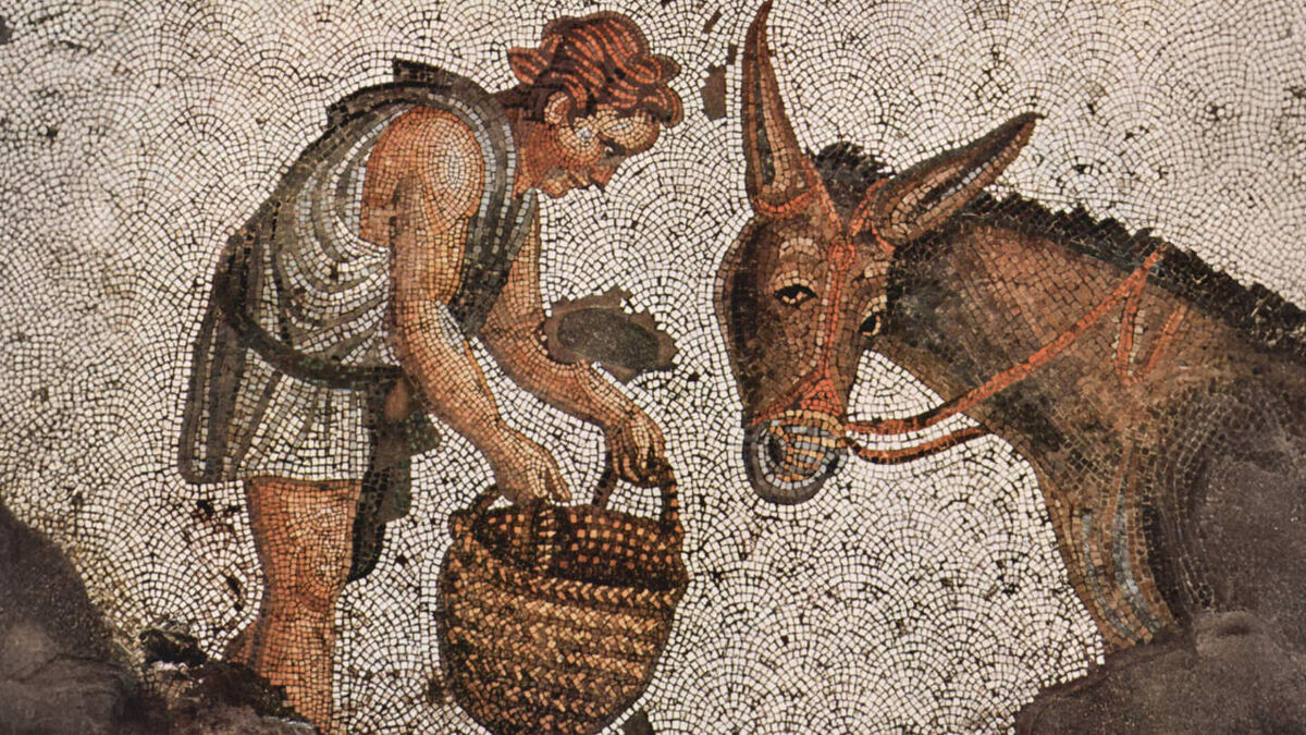     Фото: Wikipedia.org В разных культурах к ослу относились по-разному