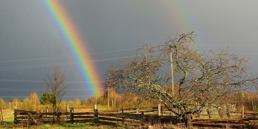 Любовь или выгодная сделка
