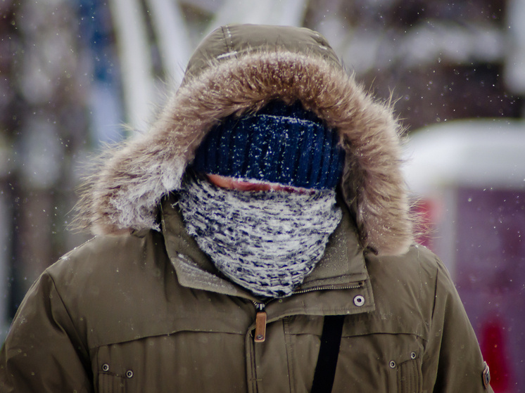     Фото: Вячеслав Шишкоедов (из архива «Южноуральской панорамы»)