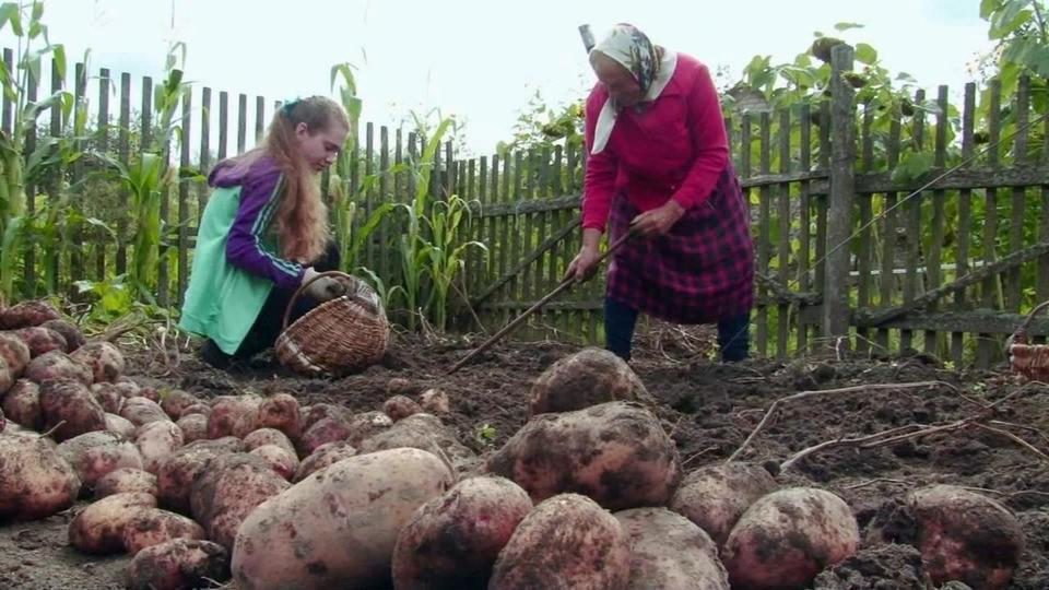 Почему наши бабушки мудрее любого психолога — и денег не берут. Народная терапия, проверенная веками