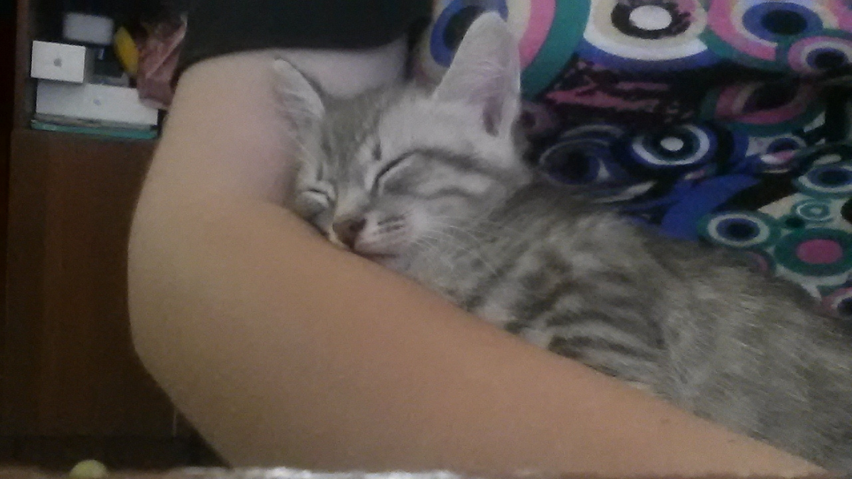 Тимоше 1 месяц