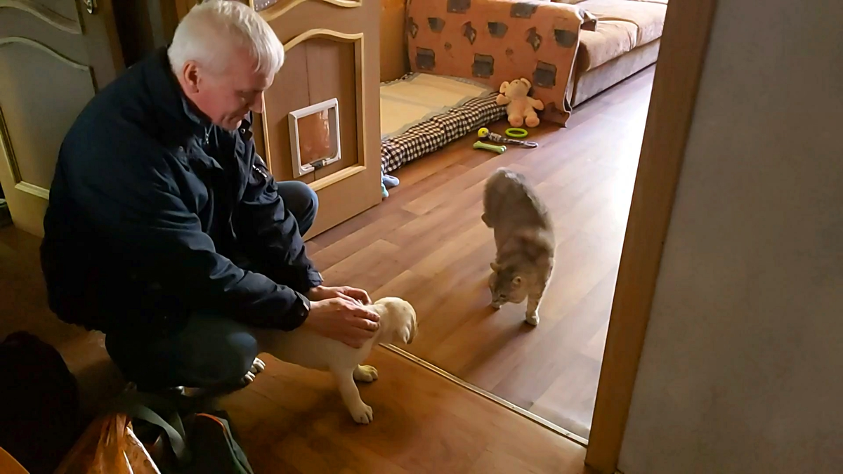 Первое знакомство