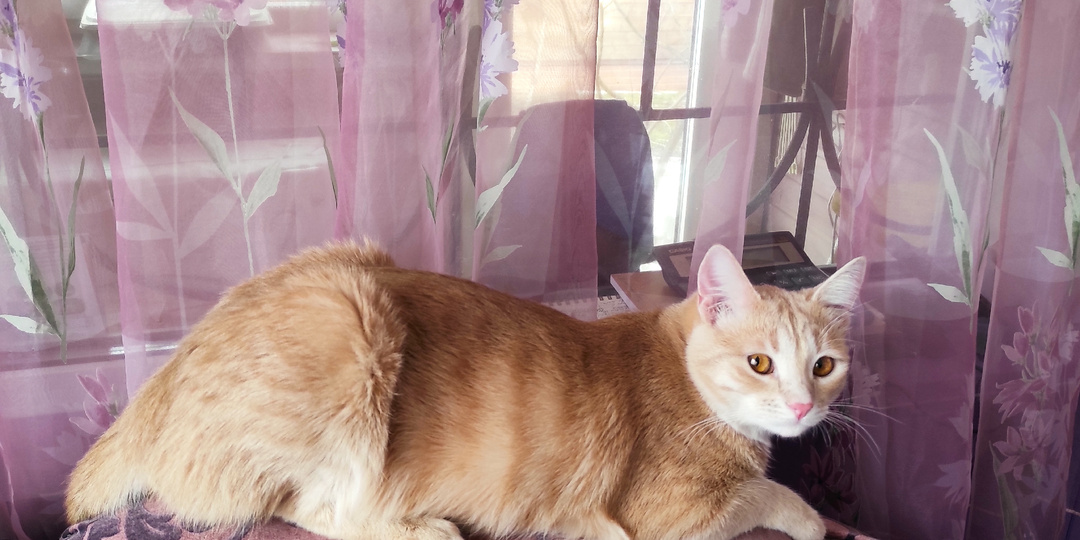 Готовлюсь к поездке. Отправляю посылки