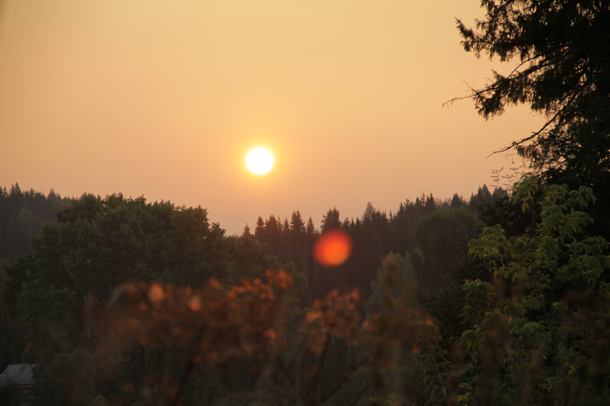 В этой тишине легко услышать себя, но сложно заработать миллионы, если ты полностью отрезан от людей. Диагностика показала: изоляция вредит кошельку.