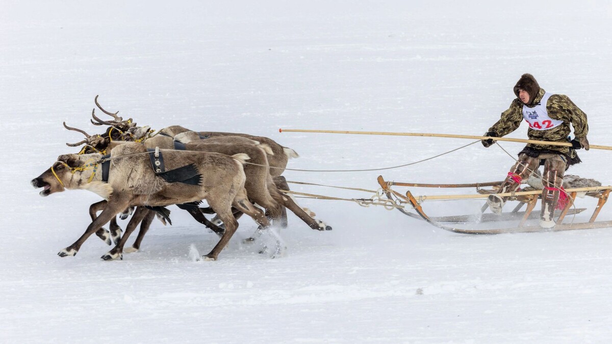    Фото: Федор Воронов / «Ямал-Медиа»