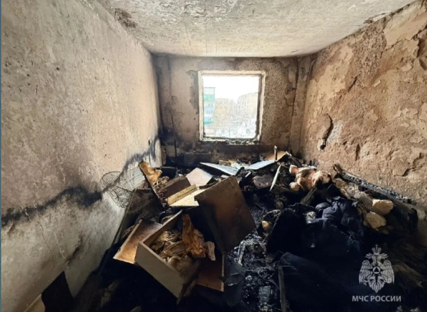    Фото: кадр донского МЧС