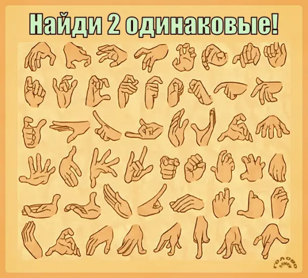 🖐️ Найди две одинаковые руки за 20 секунд — проверь свою внимательность!