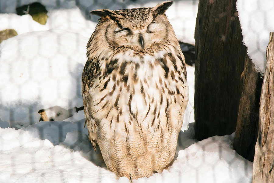    Изображение носит иллюстративный характер. Фото: Natalie Su / Unsplash.com