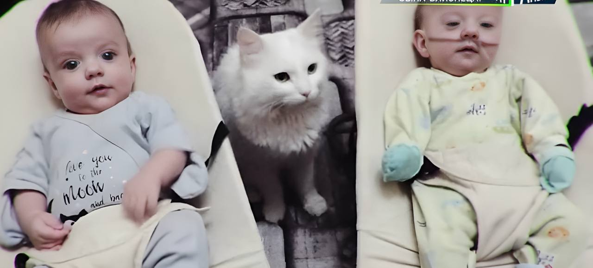 Марик и Ярик