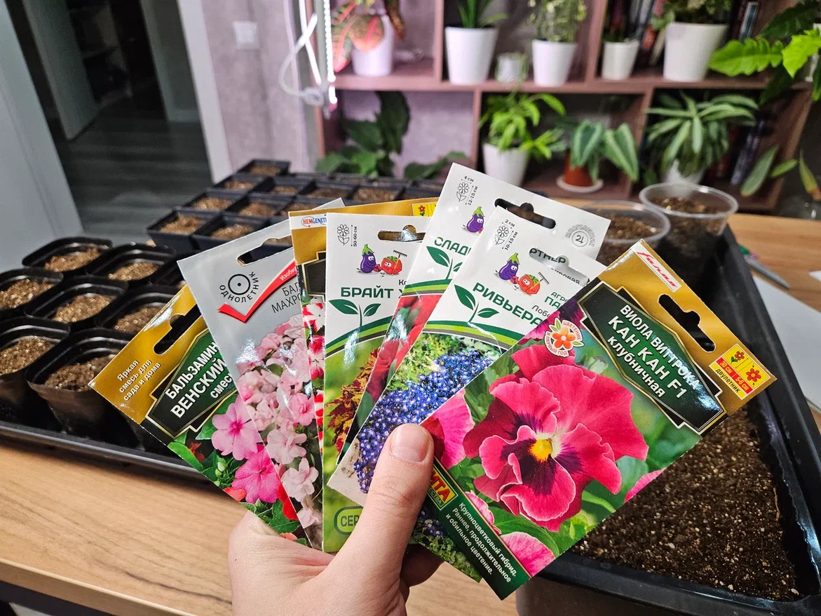 Что пора сеять?