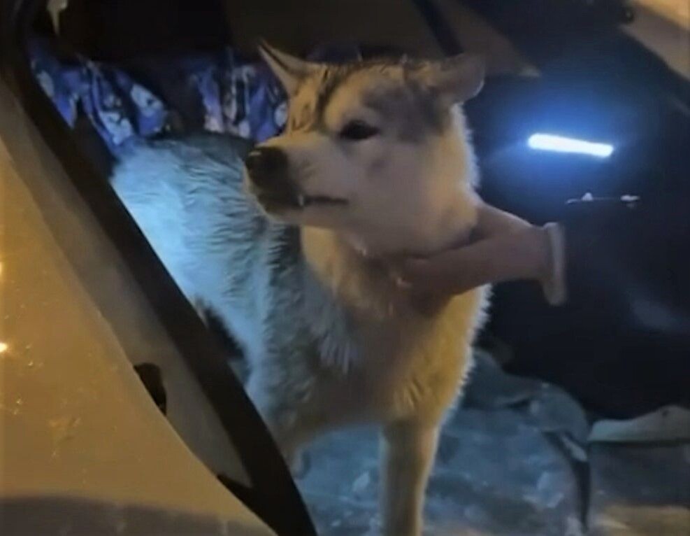     / Источник: Кадр из видео