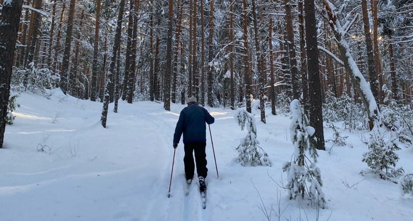    Фото prochepetsk.ru