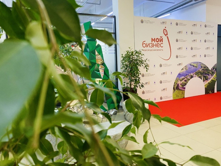     фото с сайта правительства Новгородской области